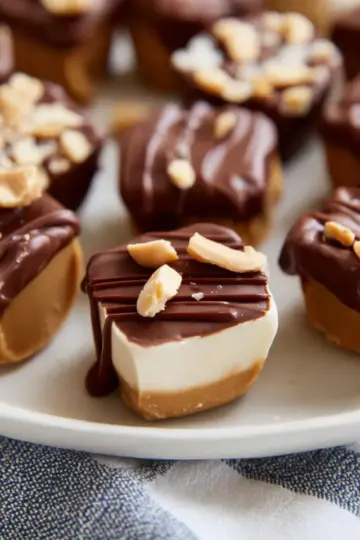 Frozen Peanut Butter Greek Yogurt Bites