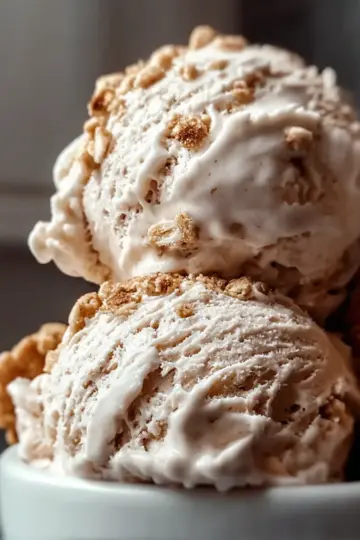 Cinnamon Oatmeal Cookie Ice Cream